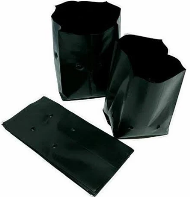 xmlSmj8B0DvRbkQi7jy2MZlU26ok7MgXy5VM3ha9