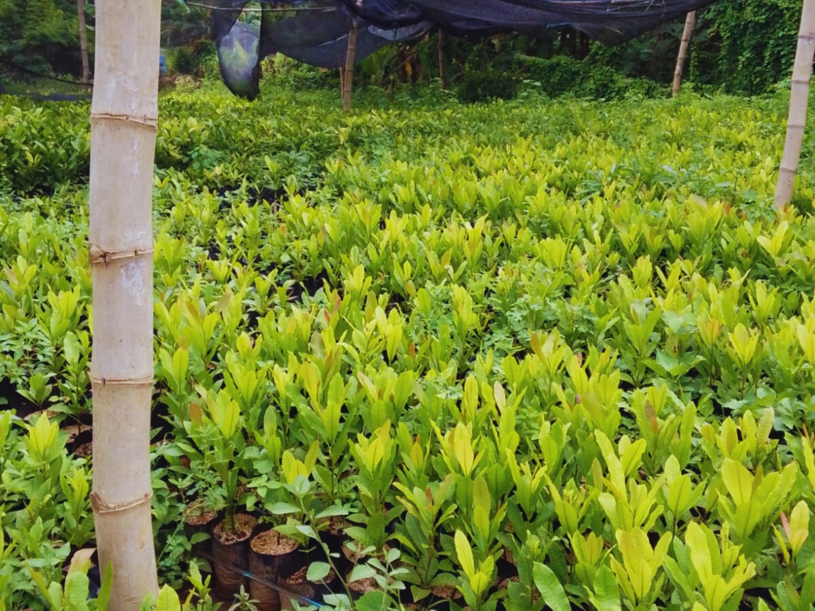 WhatsApp Image 2026-04-08 at 09.51.03